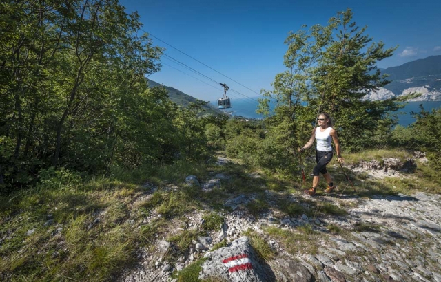 Camminata in solitaria 