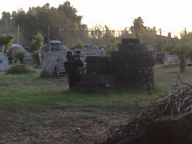 Player in the field