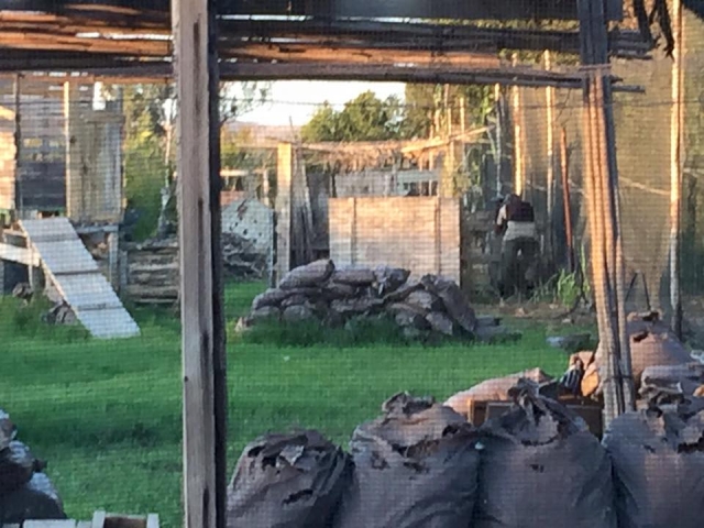 Playing paintball