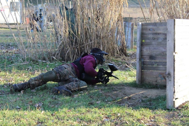 寻求绘画的庇护所