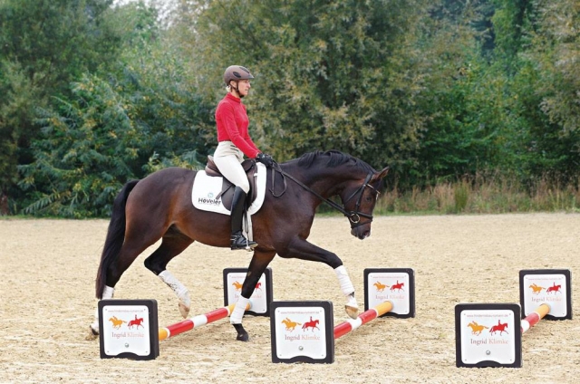  Durante el entrenamiento 