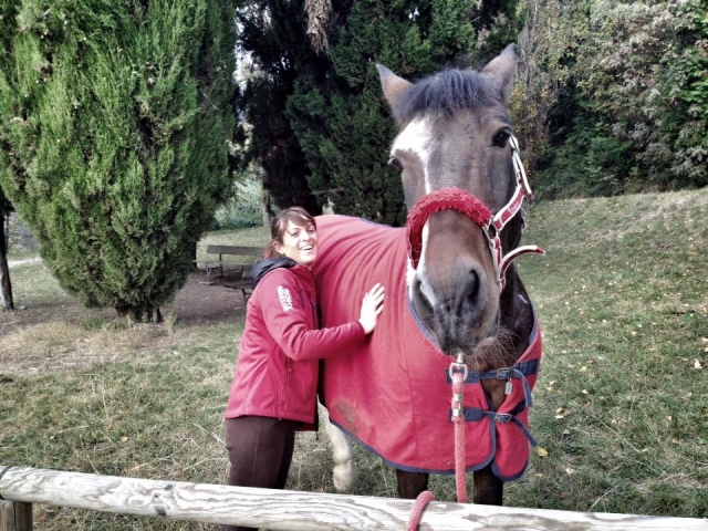 Amicizia 