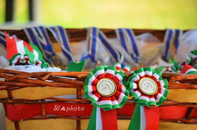 Centro di eccellenza