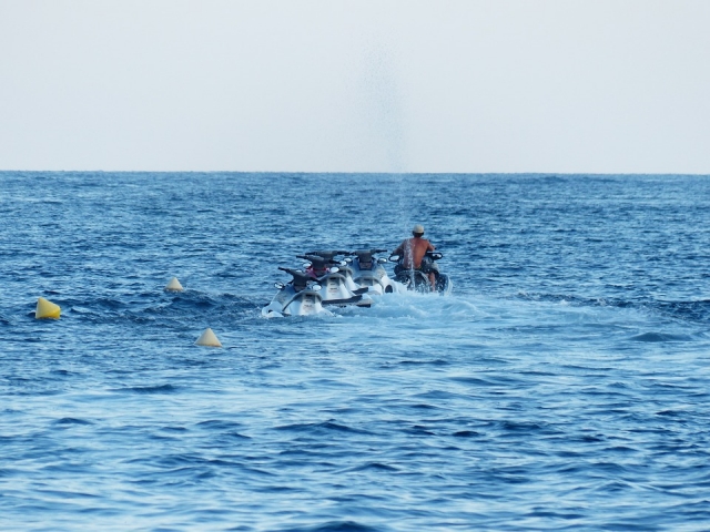  Tous alignés à la mer 