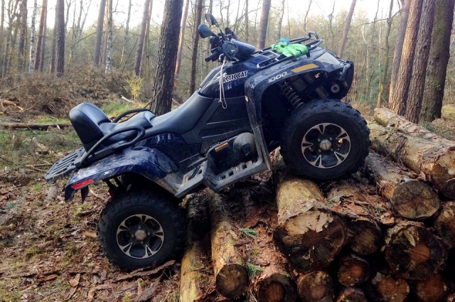 Con el quad en el medio del bosque 