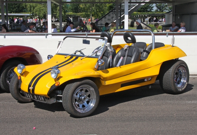  amarillo buggy 