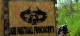 Asd Paintball Franciacorta