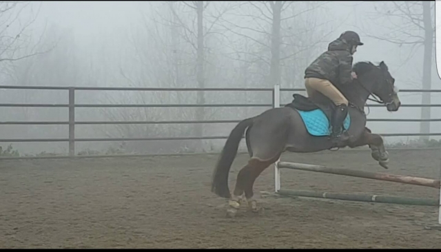 Allenamenti tra la nebbia