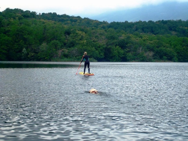 Paddle surf