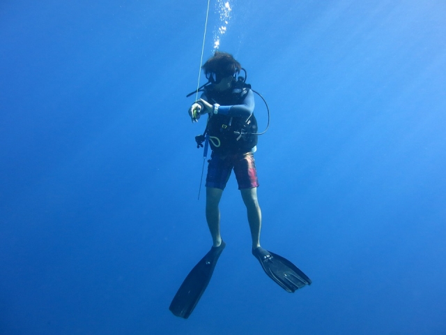 e-19738204-diver-1430226-960-72014883007143406.jpg