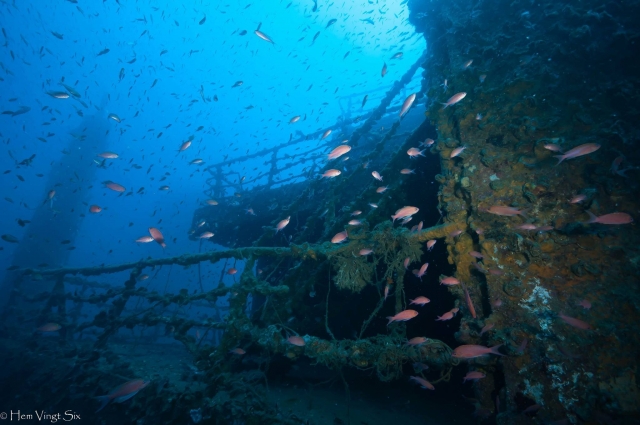 Rereading underwater 