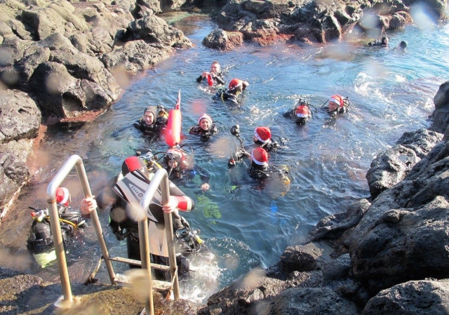  Participants after the dive at Christmas 