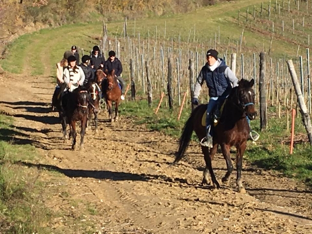 Durante la passeggiata