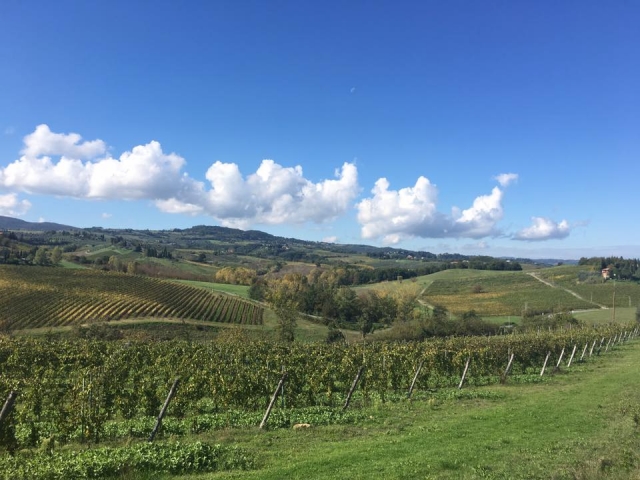 Bellissimi colli toscani