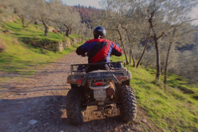  Laufen durch die Landschaft 