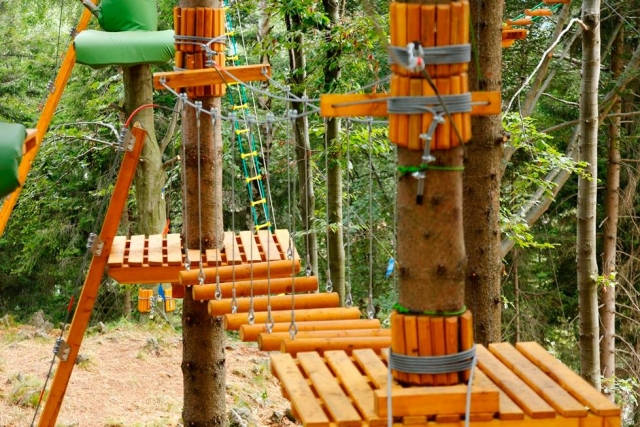 tra gli alberi