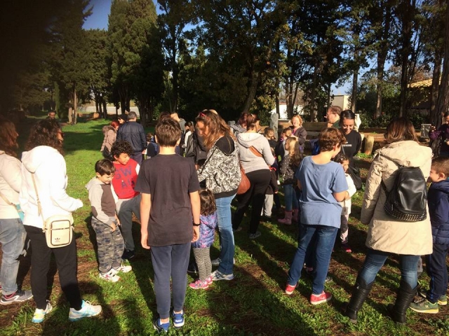  The group of participants 