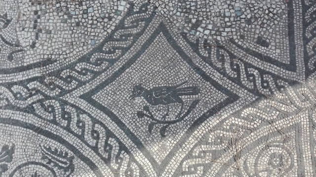  Mosaics in Ostia 