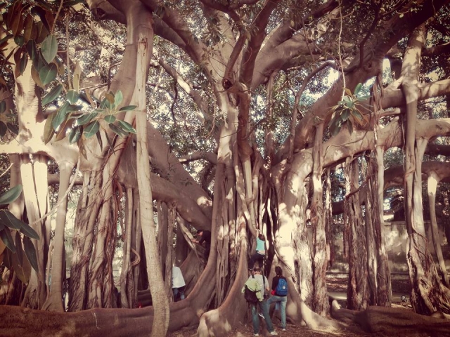 Orto botanico