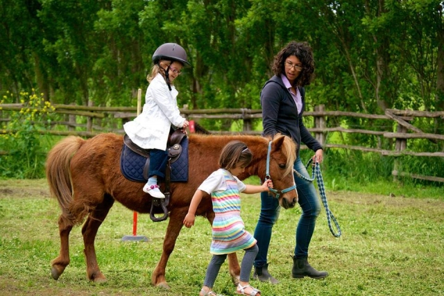 Steel Horses Passeggiate a cavallo