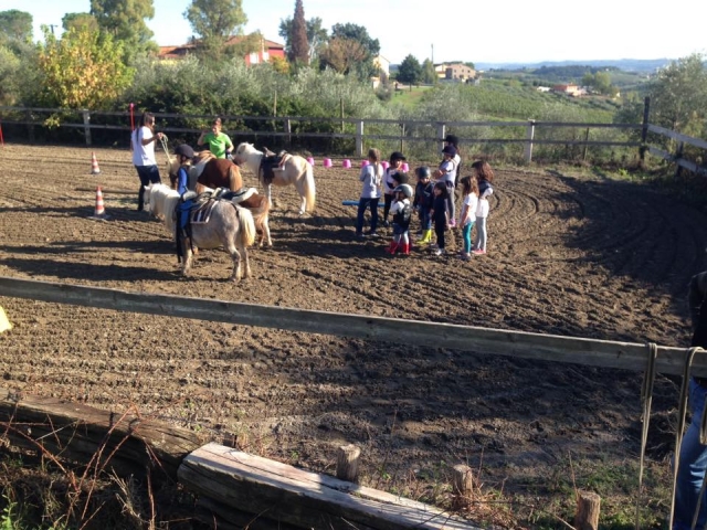  Ponys und Kinder 