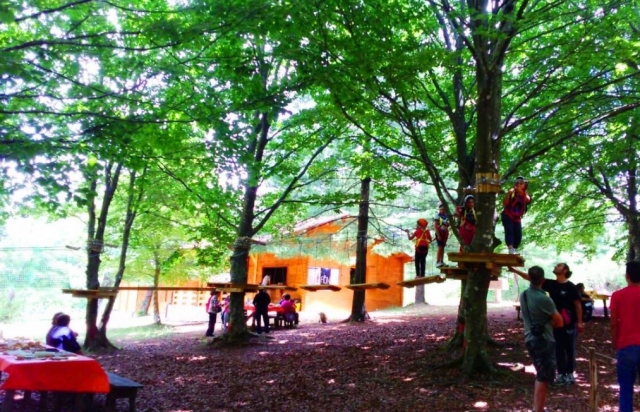  I bambini la parco 