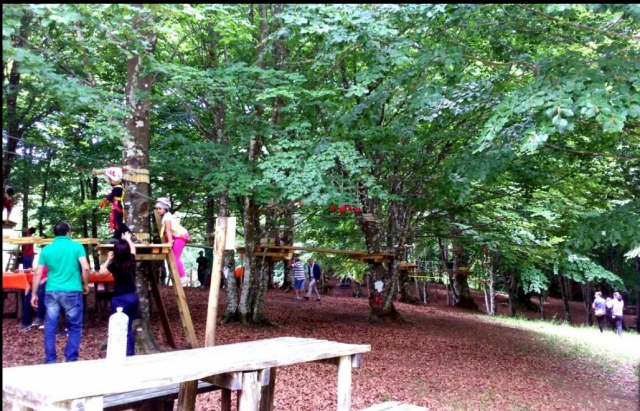  Il parco 