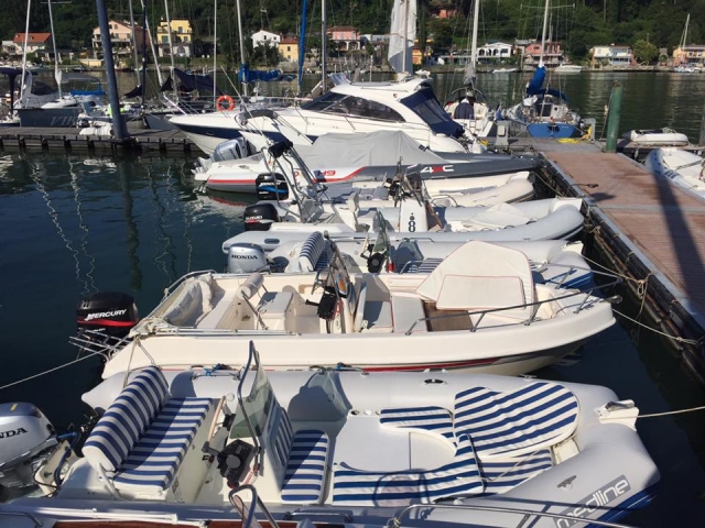  The fleet at the port 
