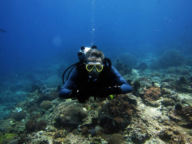  sur les fonds marins 