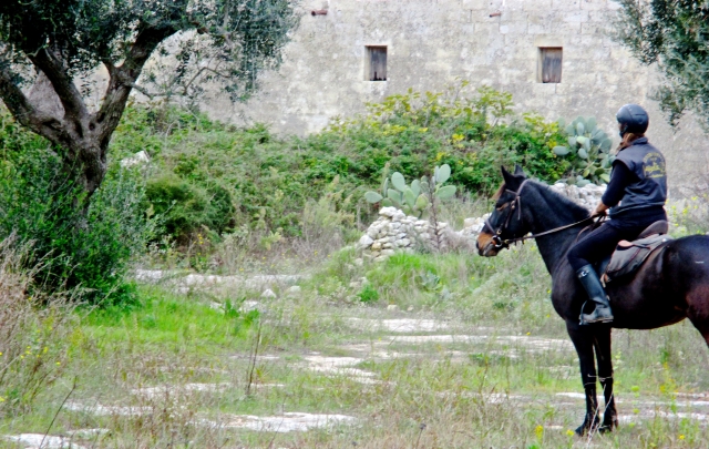  comienza para una agradable caminata 