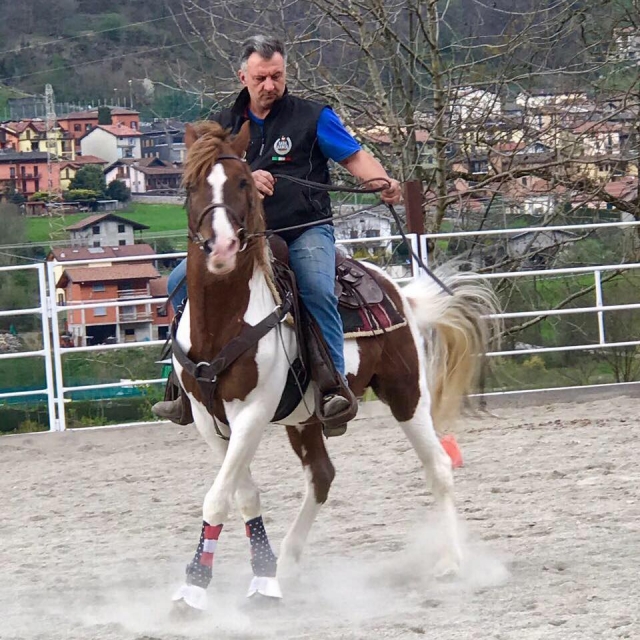 Istruttori SEF Italia di 2 liv