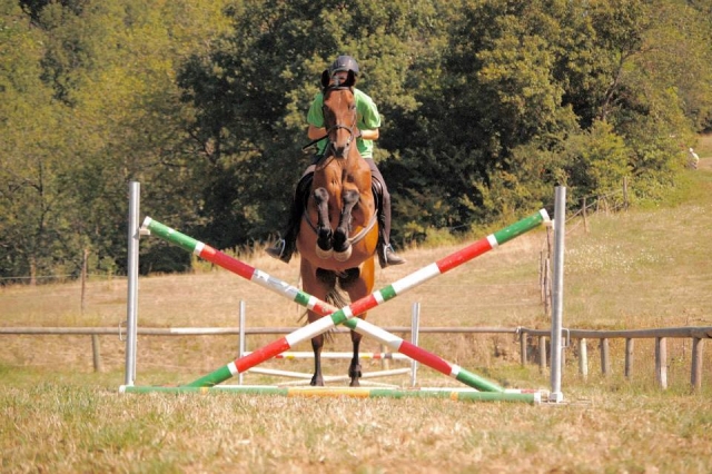  Horse riding in the countryside 