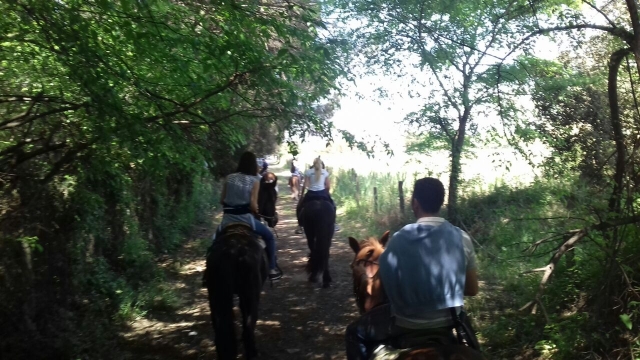  Walk in the countryside 