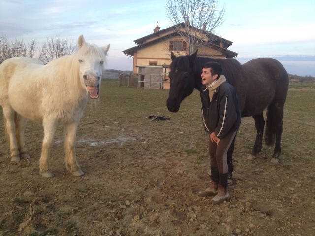  The beautiful relationship between man and animal