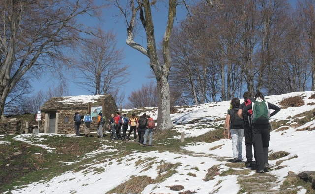Passeggiata nella natura