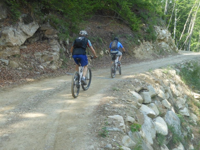 Mountain bike sul sentiero