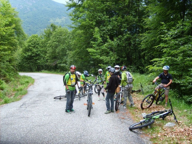 Pedalando in compagnia