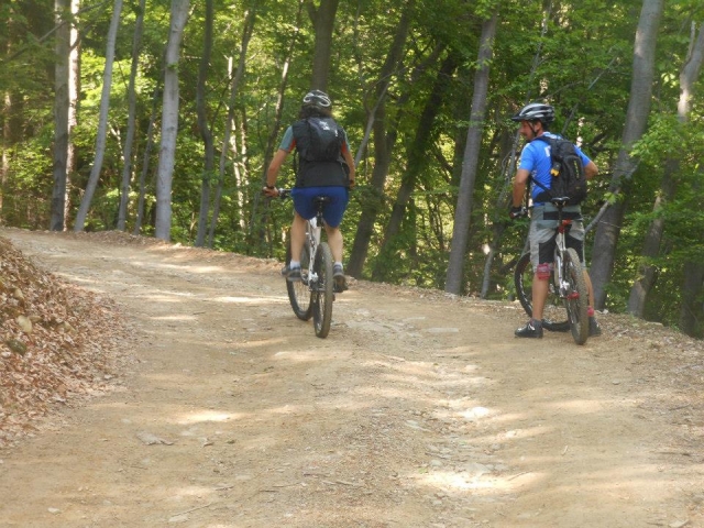 Sulle mountain bike nel bosco