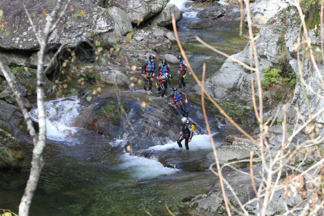 Lungo il letto del fiume