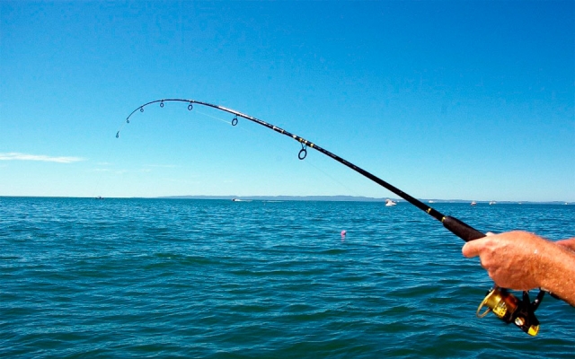 La canna da pesca