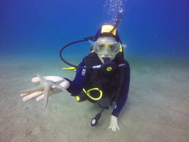  Collected starfish 
