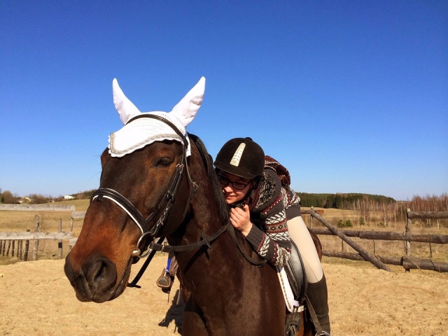 Horse é amigo 