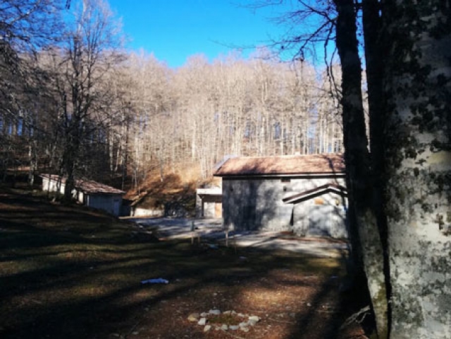  en el refugio 