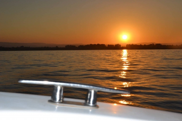  the golden sunset 