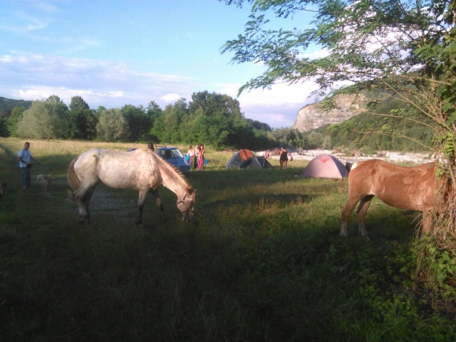  Eine Pause auf der Wiese 
