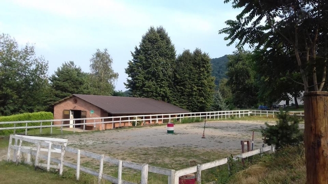  The Horse Club 