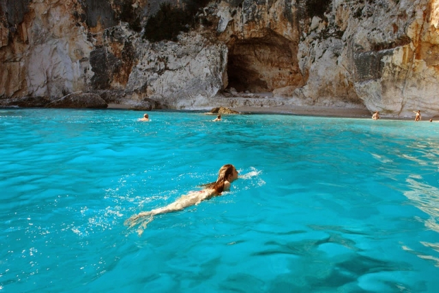  swimming in the clear sea -99- 10403402 1564872633751805 713363364679378083 n