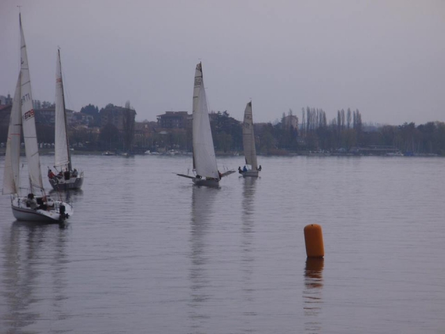  arona 