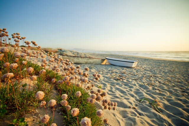  Badesi beach 