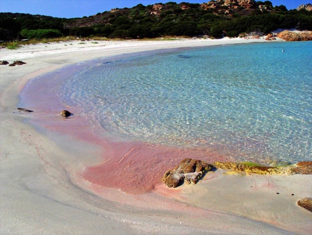  La playa rosa de Budelli 